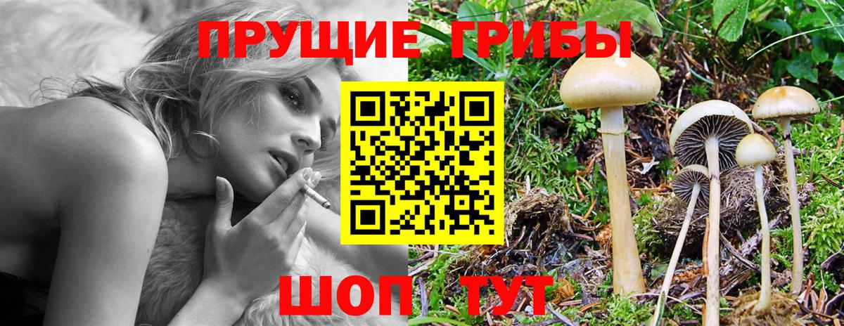Псилоцибиновые грибы Psilocybine cubensis  Галлюциногенные грибы Cubensis  Егорьевск  Вход с VPN 